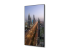 NEC MultiSync M751 - 75" Diagonal Class M Series LED-backlit LCD display - Right-angle