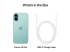 Apple iPhone 16 Plus - Back