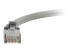 C2G Cat6 Booted Unshielded (UTP) Network Patch Cable - Close up