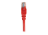 Intellinet Network Patch Cable, Cat5e, 10m, Red, CCA, U/UTP, PVC, RJ45, Gold Plated Contacts, Snagless, Booted, Lifetime Warranty, Polybag - Close up