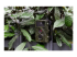 Technaxx Nature Wild Cam TX-69 - Right-angle