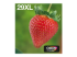 Epson Multipack 29XL EasyMail - Close up