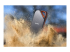 SanDisk Extreme PRO Portable V2 - Right-angle