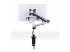 StarTech.com Monitor Desk Mount, VESA 75x75/100x100, 27/30-inch Screens - Back