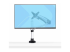 StarTech.com Monitor Desk Mount, VESA 75x75/100x100, 27/30-inch Screens - Front
