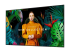 Samsung QH98C - 98" Diagonal Class (97.5" viewable) - Right-angle