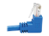 Eaton Tripp Lite Series Down-Angle Cat6 Gigabit Molded UTP Ethernet Cable (RJ45 Right-Angle Down M to RJ45 M), Blue, 15 ft. - Close up
