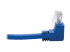 Eaton Tripp Lite Series Cat6 Patch Cable Up-Angled / Down Angled UTP Molded M/M Blue 5ft - Close up