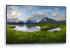 Dell P5524Q - 55" Diagonal Class (54.6" viewable) LED-backlit LCD display - Left-angle