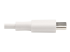 Eaton Tripp Lite Series USB-C to Lightning Sync/Charge Cable (M/M), MFi Certified, White, 3 ft. (0.9 m) - Close up
