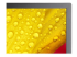 NEC MultiSync ME651 - 65" Diagonal Class ME Series LED-backlit LCD display - Close up