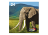 Epson 24 Multipack Easy Mail Packaging - Close up