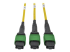 Eaton Tripp Lite Series Fiber Breakout Cassette w/Built-In MTP Cables, 9/125 40 GB to 10 GB, (x3) 8-Fiber Singlemode MTP/MPO to (x12) LC Duplex - Close up