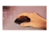 Logitech Master Series MX Anywhere 3S for Mac - Back