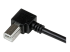 StarTech.com 2m USB 2.0 A to Right Angle B Cable Cord - Close up