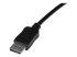 StarTech 50 ft DisplayPort Cable with Latches - Close up