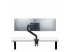 Startech Monitor Desk Mount For 49" Ultrawide Curved Screen, Max 44lb - Back