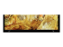 Sony Bravia XR XR-85X90L X90L Series - Close up