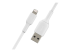 Belkin BoostCharge - Lightning cable - Multi-angle