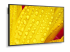 NEC MultiSync M431-2 - Left-angle