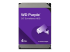 WD Purple WD43PURZ - Hard drive - Front