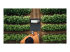 Microsoft Surface Laptop for Business - Top