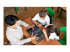 ASUS BR1100C C81XA - 11.6" - Top