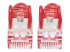 Intellinet Network Patch Cable, Cat6, 20m, Red, Copper, S/FTP, LSOH / LSZH, PVC, RJ45, Gold Plated Contacts, Snagless, Booted, Lifetime Warranty, Polybag - Close up