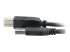 C2G - USB cable - USB Type A (M) to USB Type B (M) - Close up