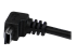 StarTech.com Down Angle Mini USB Cable - Close up