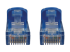 Eaton Tripp Lite Series Cat6a 10G Snagless Molded UTP Ethernet Cable (RJ45 M/M), PoE, Blue, 6 ft. (1.8 m) - Close up