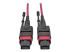 Eaton Tripp Lite Series 100G MTP/MPO Multimode OM4 Plenum-Rated Fiber Optic Cable (F/F), 12 Fiber, 40/100GBASE-SR4, Push/Pull Tabs, Magenta, 2 m - Close up