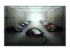 Razer DeathAdder Essential - Back