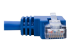 Eaton Tripp Lite Series Left-Angle Cat6 Gigabit Molded UTP Ethernet Cable (RJ45 Left-Angle M to RJ45 M), Blue, 1 ft. (0.31 m) - Close up