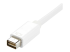 StarTech.com Mini DVI to HDMI Video Adapter for Macbooks and iMacs- M/F - Close up
