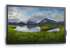 Dell P7524QT - 75" Diagonal Class (74.52" viewable) LED-backlit LCD display - Left-angle