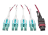 Eaton Tripp Lite Series 40G MTP/MPO to 4xLC Fan-Out OM4 Plenum-Rated Fiber Optic Cable, 40GBASE-SR4, Push/Pull Tabs, Magenta, 1 m - Close up