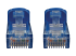 Eaton Tripp Lite Series Cat6a 10G Snagless Molded UTP Ethernet Cable (RJ45 M/M), PoE, Blue, 5 ft. (1.5 m) - Close up