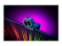 Razer Kiyo X - Webcam - Right-angle