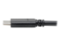 Eaton Tripp Lite Series USB-C to USB-A Cable (M/M), USB 3.2 Gen 1 (5 Gbps), Thunderbolt 3 Compatible, 6 ft. (1.83 m) - Close up