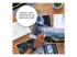 Epson 29 Multipack - 4-pack - Close up