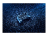 Razer Wolverine V2 Pro - Back