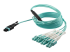 StarTech.com MTP to LC Breakout Cable - Right-angle