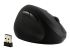 Kensington Pro Fit Ergo Wireless Mouse - Left-angle