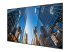Samsung QE98C - 98" Diagonal Class (97.5" viewable) - Right-angle