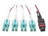 Eaton Tripp Lite Series 40G MTP/MPO to 4xLC Fan-Out OM4 Plenum-Rated Fiber Optic Cable, 40GBASE-SR4, Push/Pull Tabs, Magenta, 3 m - Close up
