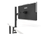 ASUS ZenScreen MB249C - Back