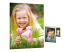 HP Everyday Photo Paper - Front