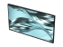 Dell Pro P P2426H - LED monitor - Right-angle