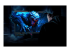 Acer Predator SpatialLabs View PSV27-2 - Left-angle